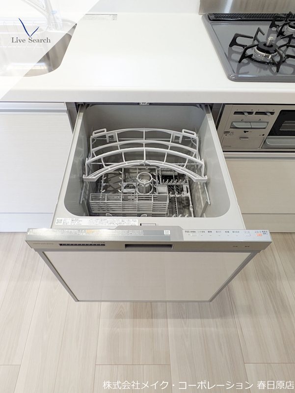 Gentiana scabra その他16