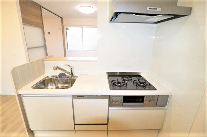 Gentiana scabra キッチン