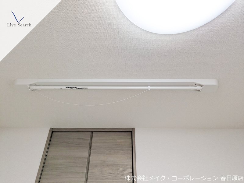 Gentiana scabra その他23