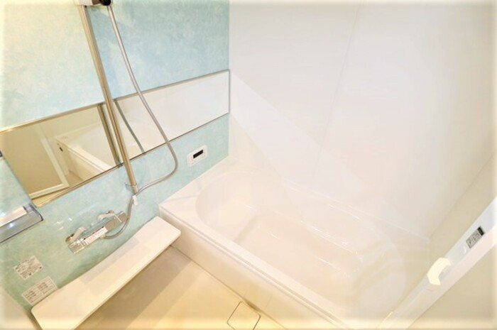 Gentiana scabra 風呂画像