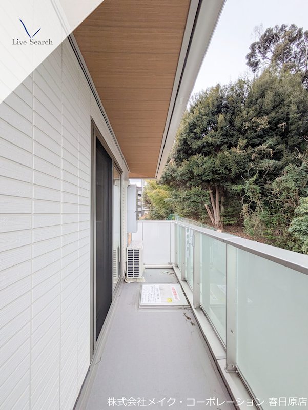 Gentiana scabra ベランダ