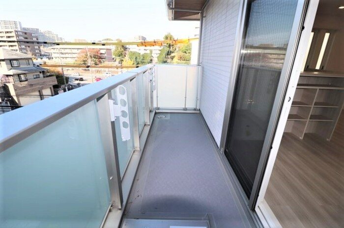 Gentiana scabra ベランダ