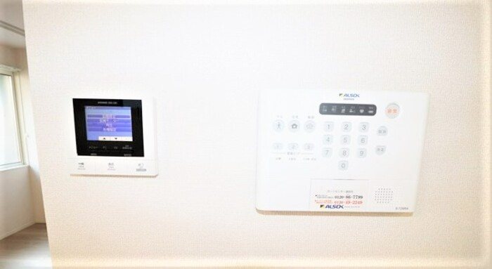 Gentiana scabra その他5