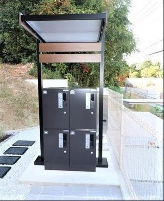 Gentiana scabra その他外観2