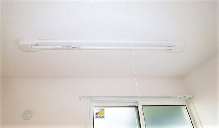 Gentiana scabra その他15