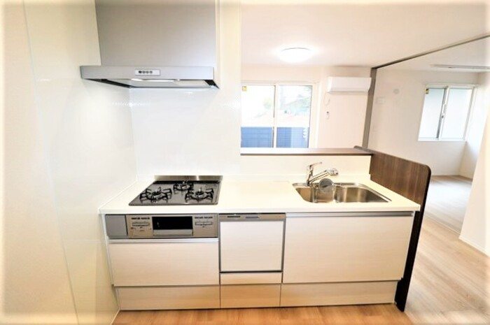 キッチン Gentiana scabra キッチン