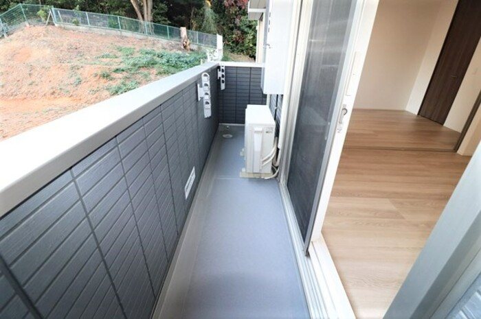 Gentiana scabra ベランダ