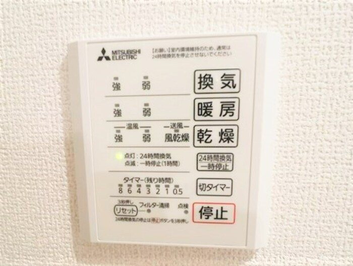 Gentiana scabra その他6