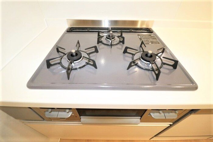 他設備 Gentiana scabra その他8