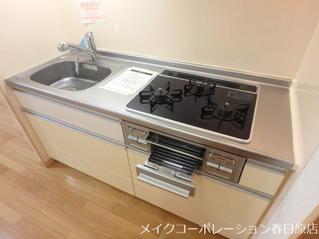 彩雲Ⅱ その他12