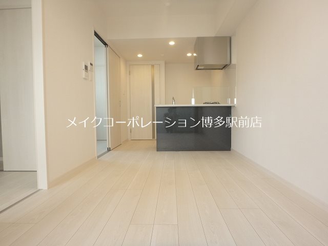 リアンプレミアムレジデンス平和 リビング