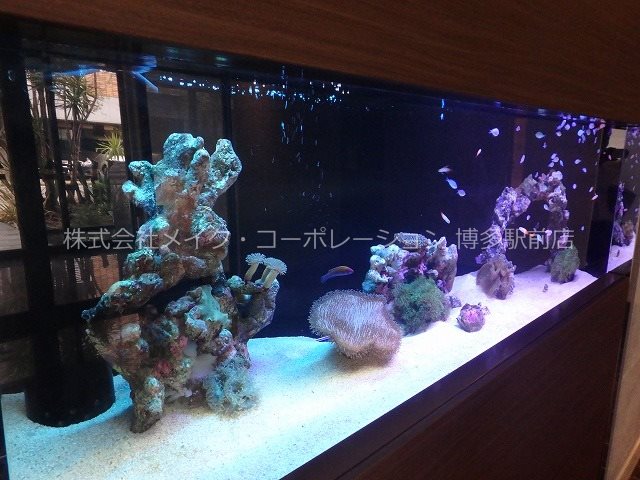 エントランス グランフォーレ博多駅東スタイル その他5