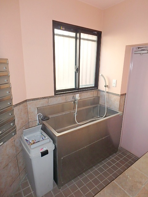 セラフィーノ白金  その他9