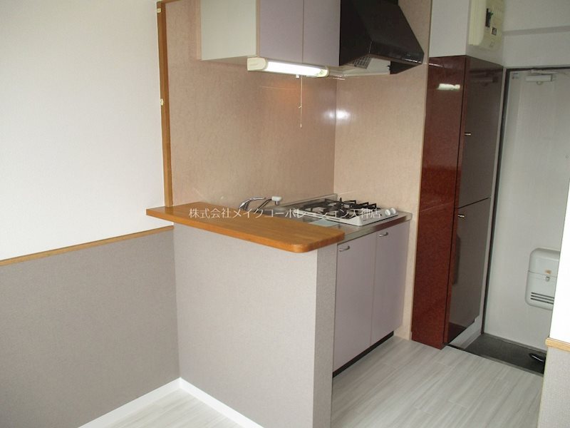 セラフィーノ白金  その他10