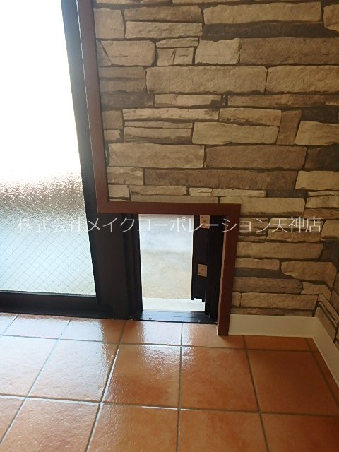 セラフィーノ白金  その他11