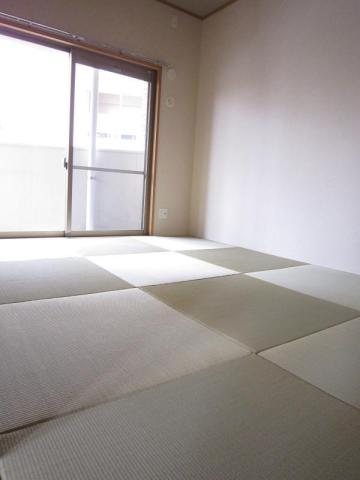 エレガンスコトブキ  その他1