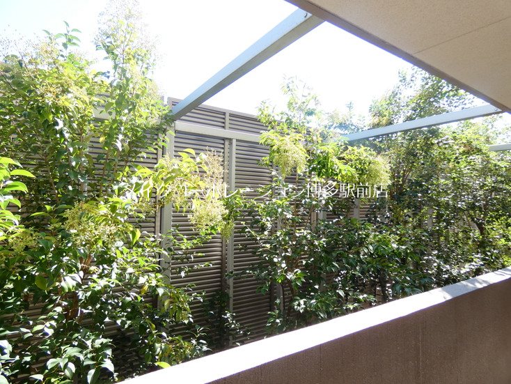 アクアリア平尾浄水 その他9