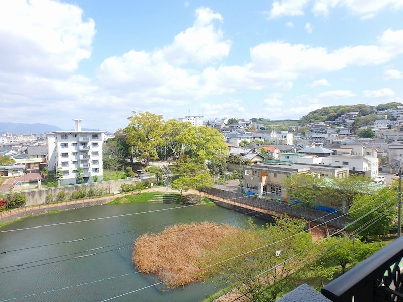 グリーン＆ウインズ その他4