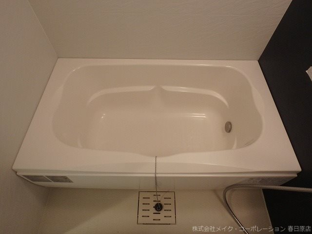 写真は同型タイプ カラコレスⅤ その他9