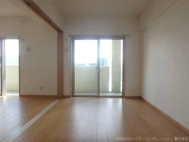 写真は同型タイプ カラコレスⅤ その他14