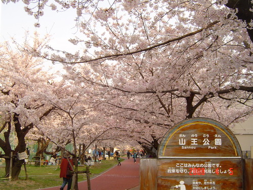 プレミアムフォレストⅠ番館 周辺画像4