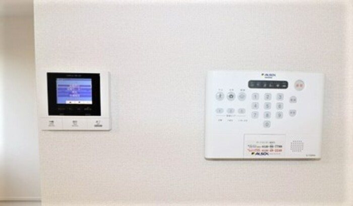 Gentiana scabra その他5