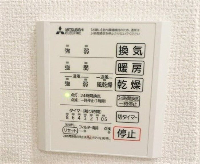 Gentiana scabra その他6