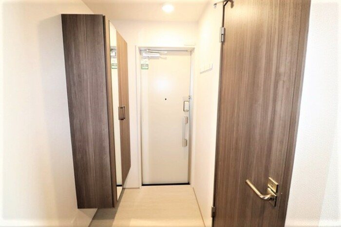 Gentiana scabra 玄関