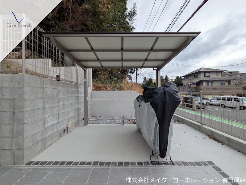 Gentiana scabra その他外観4