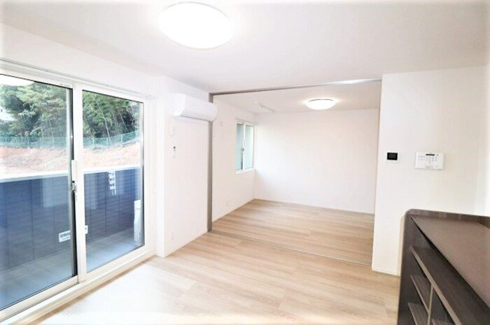 Gentiana scabra その他11