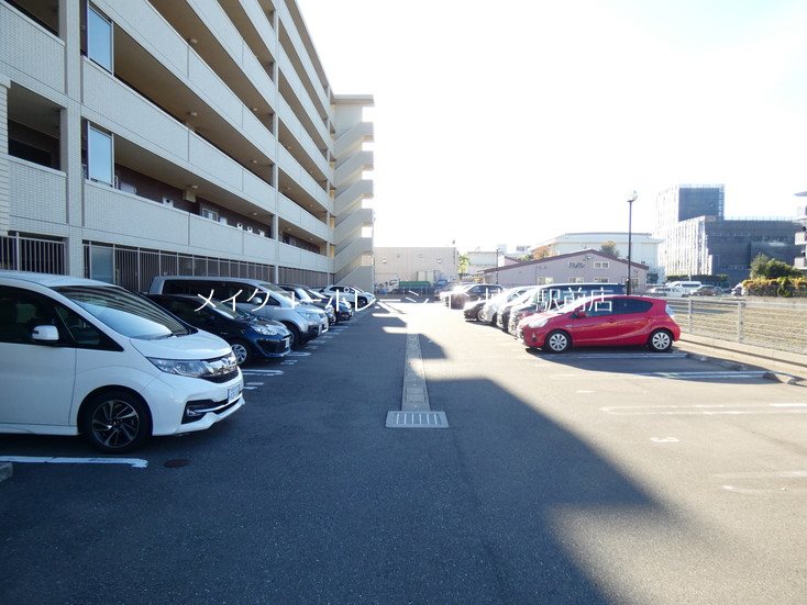 カラコレスⅤ その他6