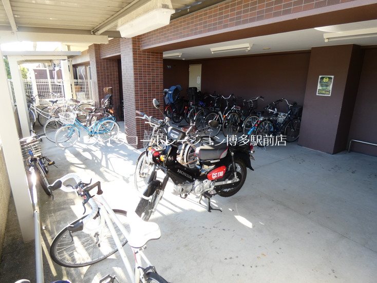 カラコレスⅤ その他11