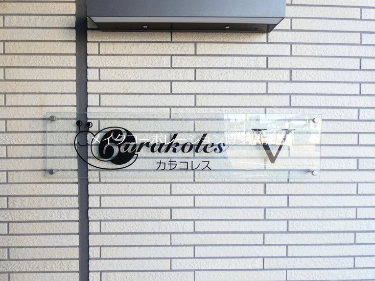 カラコレスⅤ その他15