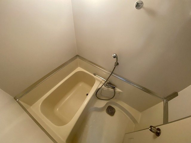 次郎丸ヴィレッタ 風呂画像