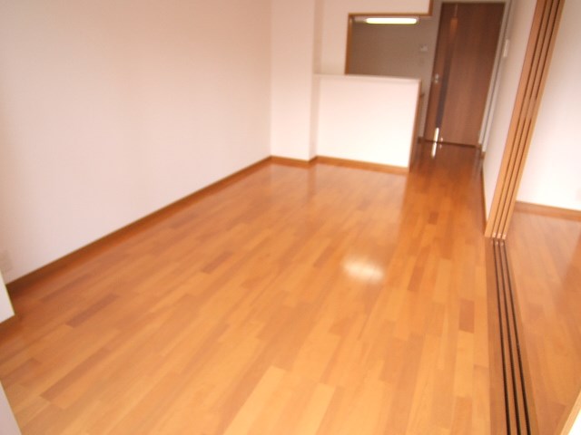 カラコレスⅢ  リビング