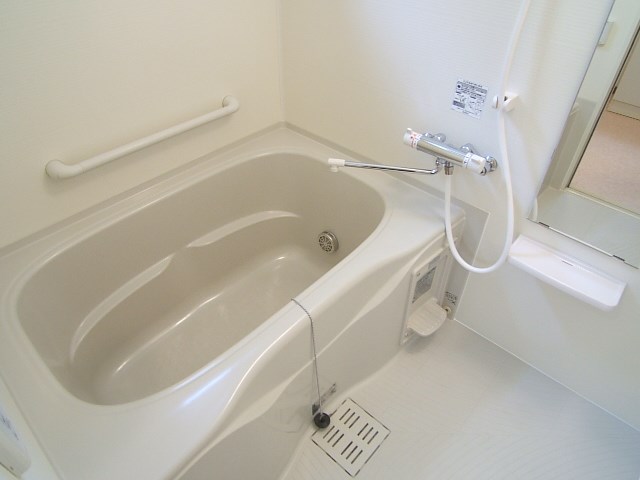 カラコレスⅢ  風呂画像