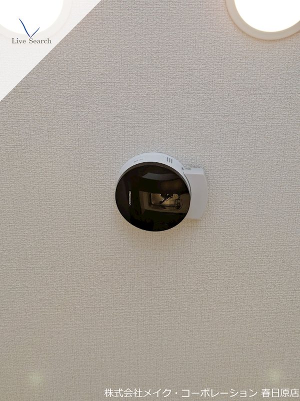 Greenage その他23