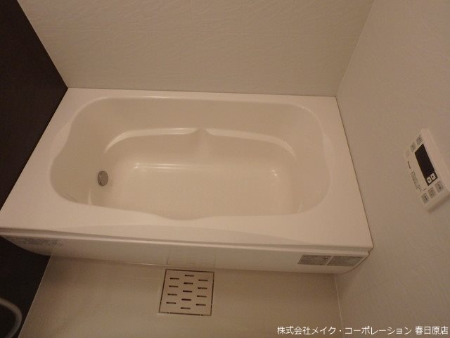 カラコレスV その他11