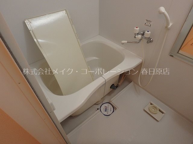 ラフィーネ・プロムナードⅢ D棟 風呂画像