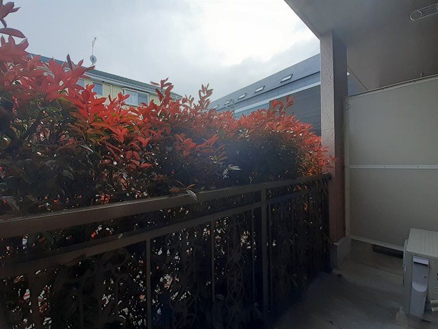 ベランダ ジャスミンSOURI ベランダ