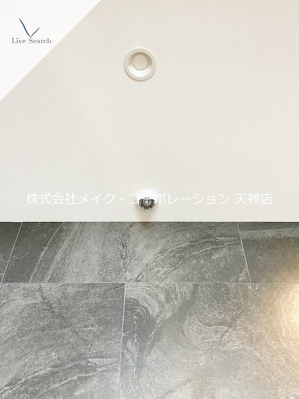 ラフィーネ鳥飼  その他30