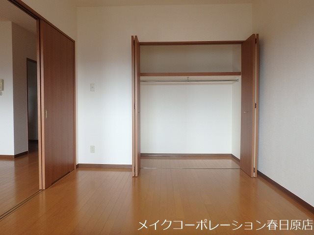 写真は同型タイプ アムフルッス その他4