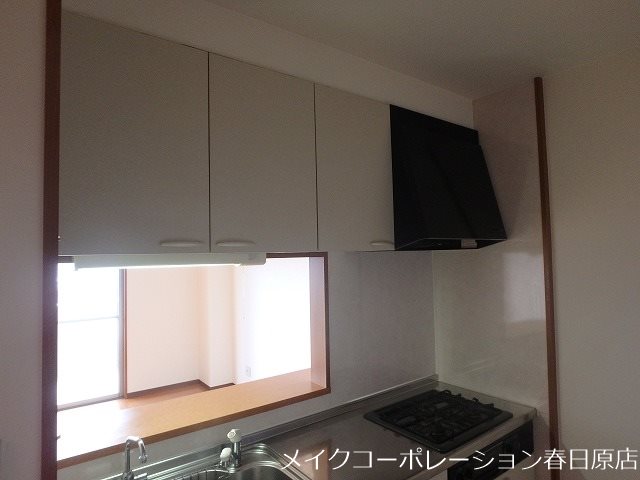 写真は同型タイプ アムフルッス その他8