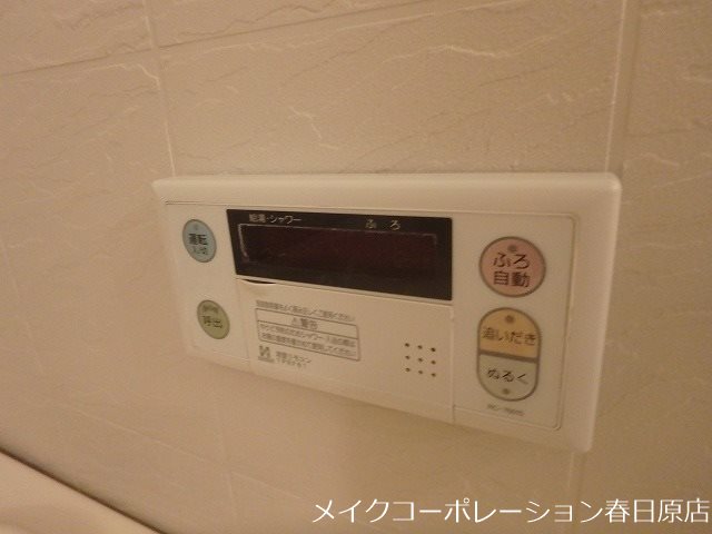 写真は同型タイプ アムフルッス その他10