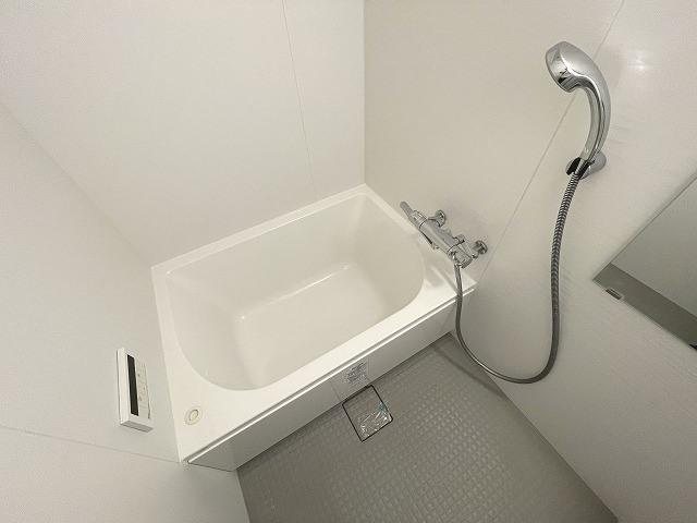 RJRプレシア百年橋 風呂画像