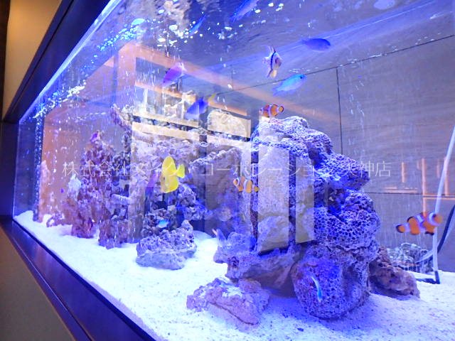 ドゥーエ赤坂 その他外観3