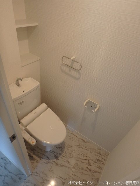 プルヌス コリーヌ その他2