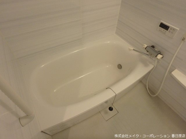 プルヌス コリーヌ その他14