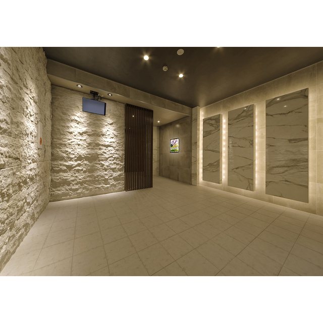 アウローラ その他1