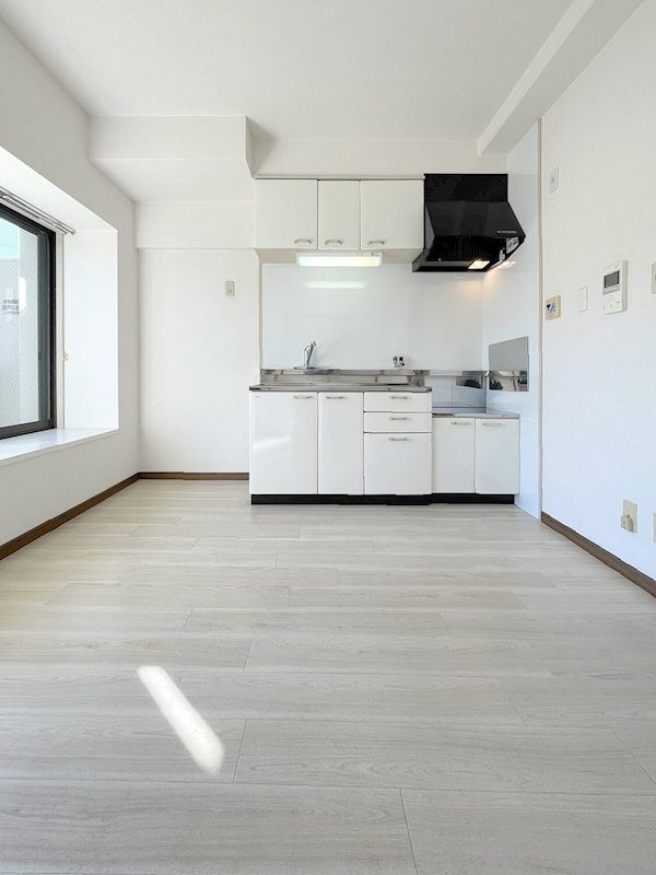 メゾンリヴィエール リビング